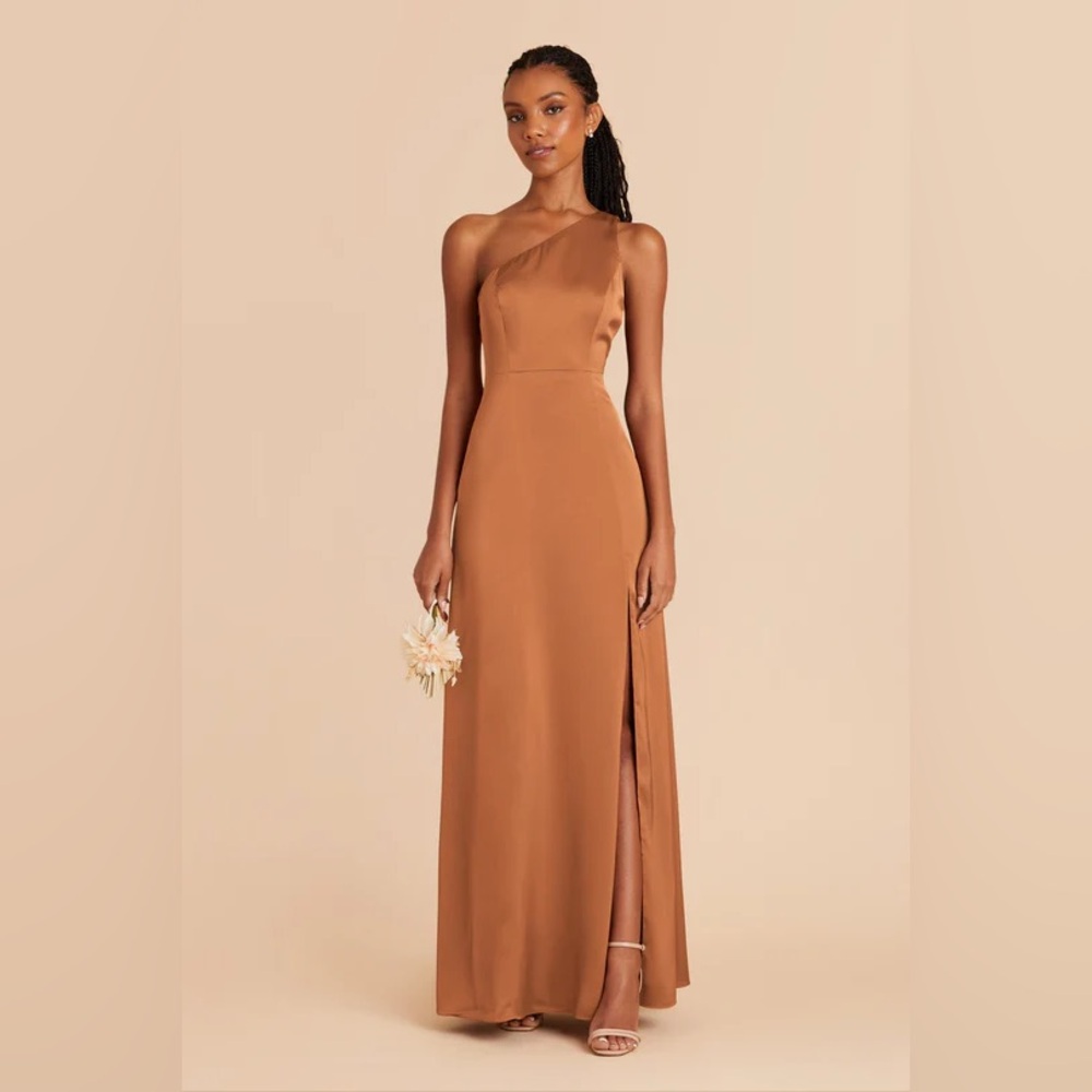 Birdy Grey Matte Satin Rust Kira Dress